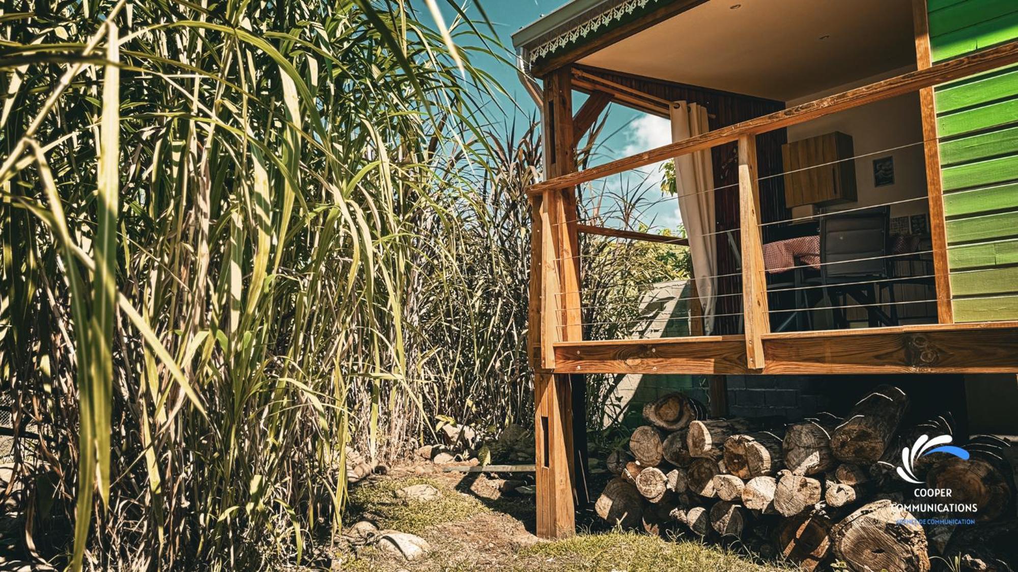 Chalet Tikaz Sandjo Noël Екстериор снимка