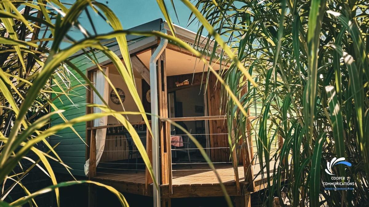 Chalet Tikaz Sandjo Noël Екстериор снимка